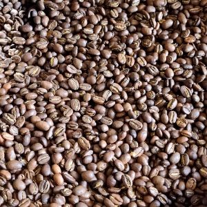 Ethiopian - Light Roast