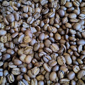 Blue Fire - Medium Roast