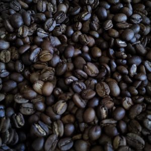 Harbert House - Medium Roast