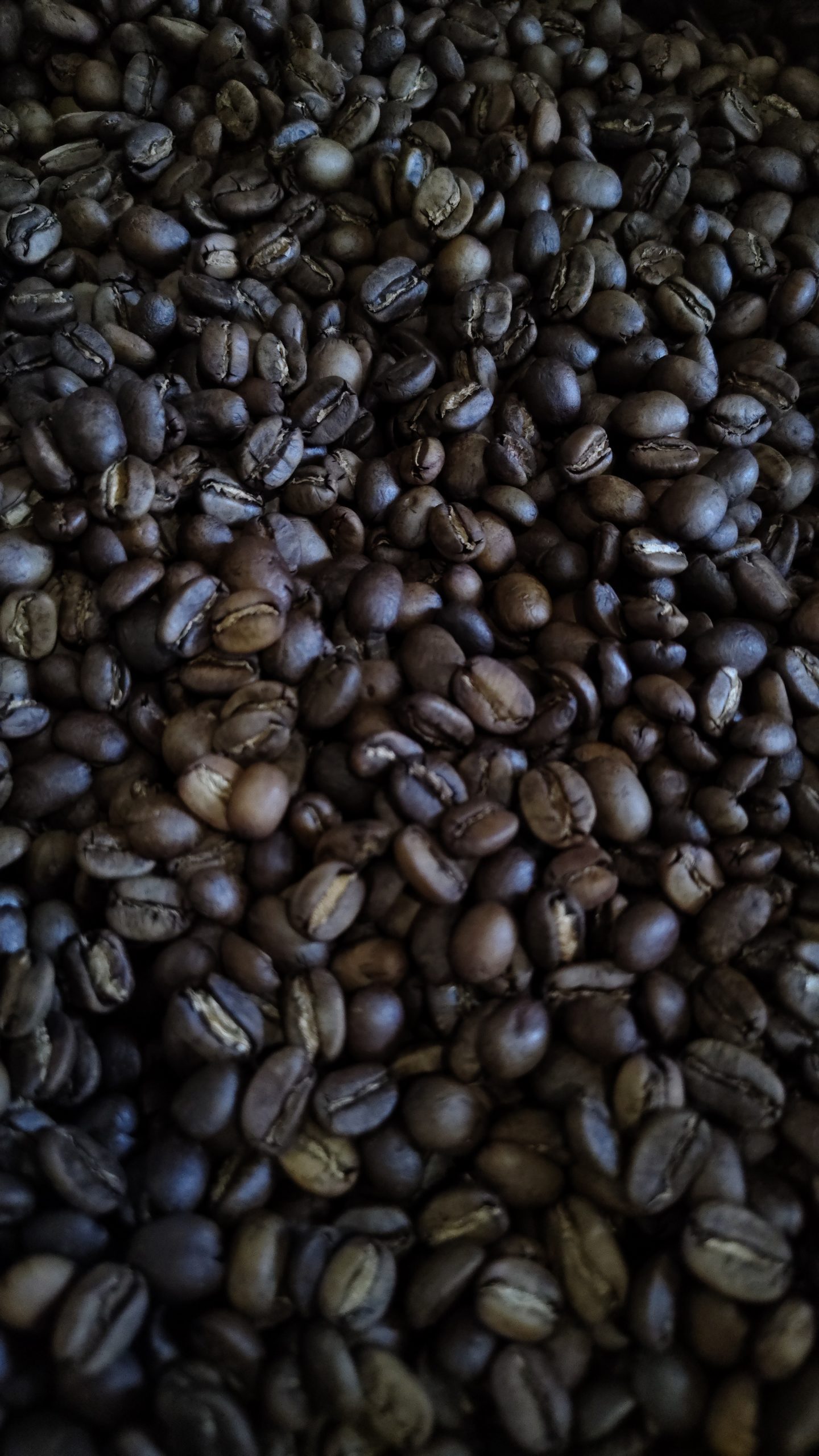 Harbert House - Medium Roast