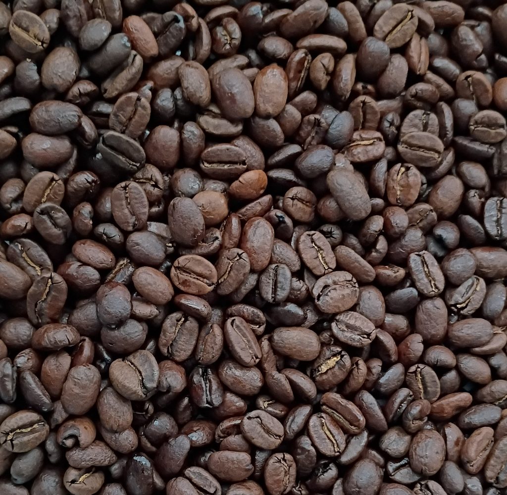 Overton Park - Medium Roast