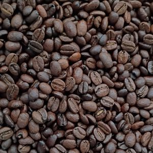 Overton Park - Medium Roast